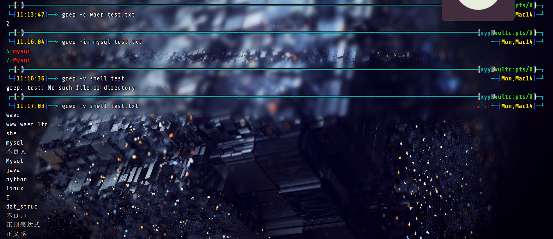 20220314111931